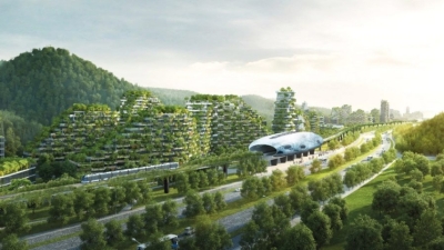 Зелёное будущее города: Киров внедряет инновационные приствольные решетки для защиты деревьев